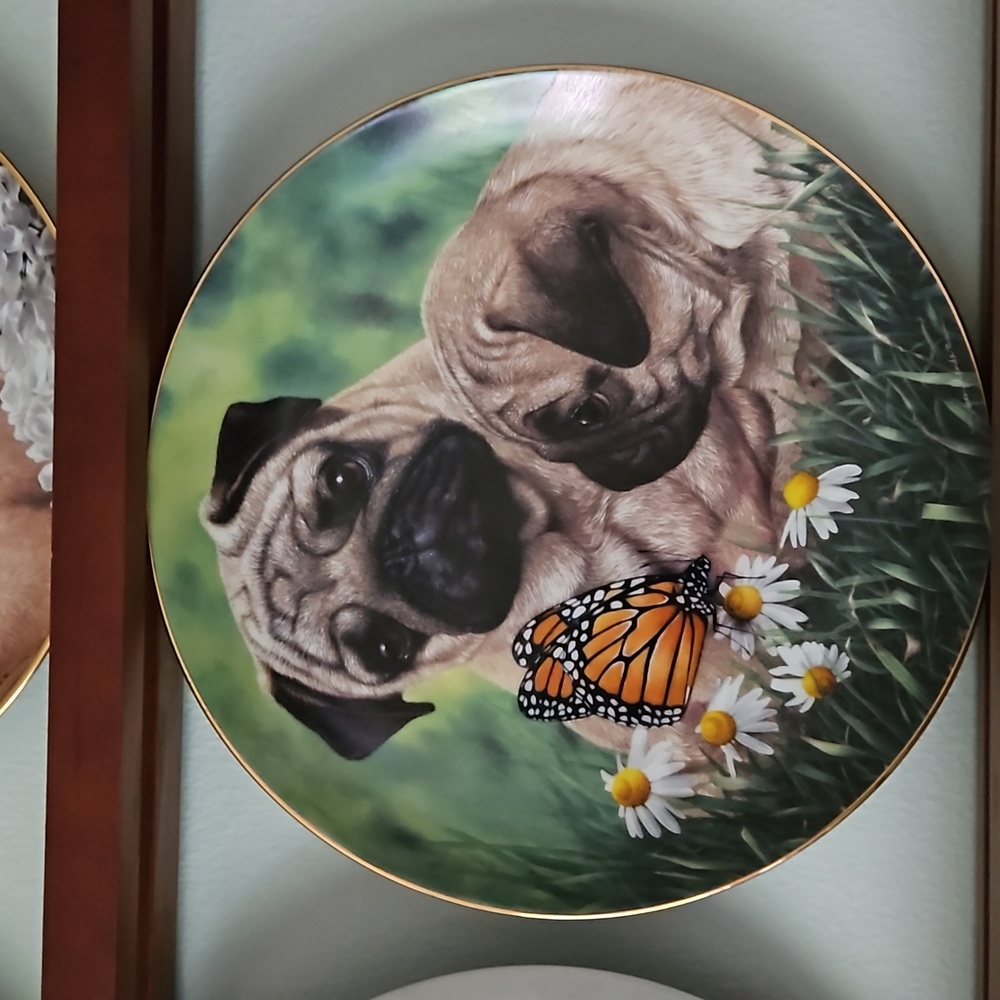 Limited edition collectors plate